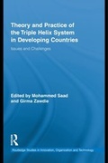 Cover: Theory and Practice of the Triple Helix Model in Developing Countries - Routledge