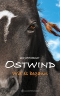 Cover: OSTWIND - Wie es begann - Alias Entertainment