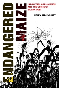 Enlarge image Cover: Endangered Maize - Naval Institute Press