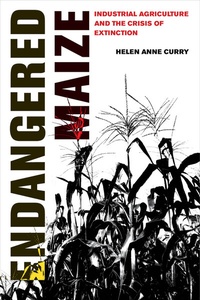 Enlarge image Cover: Endangered Maize - University of California Press