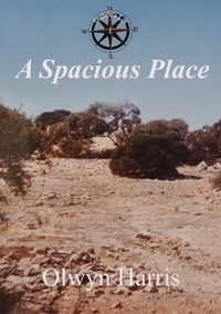 Abbildung von: A Spacious Place - Reading Stones Publishing