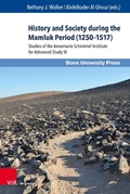 Cover: History and Society during the Mamluk Period (1250-1517) - V&R unipress