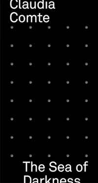 Enlarge image Cover: Claudia Comte - Verlag für Moderne Kunst