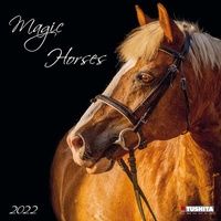 Abbildung von: Magic Horses 2022 - Tushita PaperArt