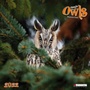 Cover: Magic Owls 2022 - Tushita PaperArt GmbH