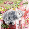Cover: Cats/Katzen 2022 - Tushita PaperArt GmbH