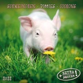 Cover: Piggies/Schweinchen 2022 - Tushita PaperArt GmbH