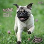 Cover: Möpse 2022 - Tushita PaperArt GmbH