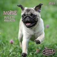 Enlarge image Cover: Möpse 2022 - Tushita PaperArt GmbH