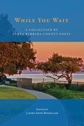 Cover: While You Wait - Gunpowder Press