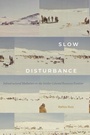 Cover: Slow Disturbance - De Gruyter