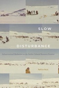 Cover: Slow Disturbance - De Gruyter