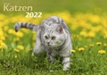 Cover: Katzen 2022 Bildkalender A3 quer - Oliver Giel - klaes-regio Fotoverlag