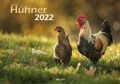 Cover: H&uuml;hner 2022 Bildkalender A3 quer - Oliver Giel - klaes-regio Fotoverlag