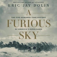 Abbildung von: A Furious Sky - HighBridge Audio