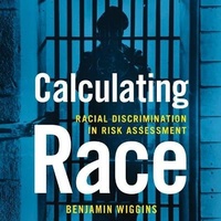Enlarge image Cover: Calculating Race - HighBridge Audio
