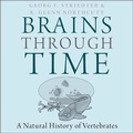 Cover: Brains Through Time - HighBridge Audio