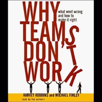 Enlarge image Cover: Why Teams Don't Work - HighBridge Audio