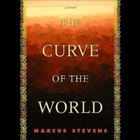 Enlarge image Cover: The Curve of the World - HighBridge Audio