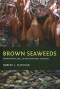 Cover: Brown Seaweeds (Phaeophyceae) of Britain and Ireland - Pelagic Publishing