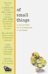 Enlarge image Cover: Of Small Things - Alternating Current
