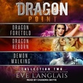 Cover: Dragon Point - Tantor Audio