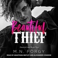 Cover: Beautiful Thief Lib/E - Tantor Audio