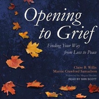 Enlarge image Cover: Opening to Grief Lib/E - Tantor Audio