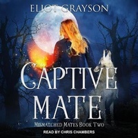 Enlarge image Cover: Captive Mate Lib/E - Tantor Audio