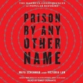 Cover: Prison by Any Other Name - Tantor Audio