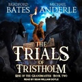 Cover: The Trials of Tristholm - Tantor Audio