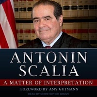Enlarge image Cover: A Matter of Interpretation - Tantor Audio