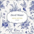 Cover: Devil Water - Tantor Audio