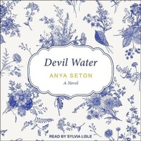 Enlarge image Cover: Devil Water - Tantor Audio