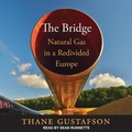 Cover: The Bridge Lib/E - Tantor Audio