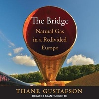 Enlarge image Cover: The Bridge - Tantor Audio