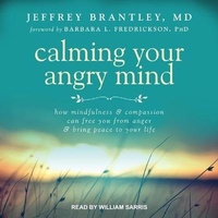 Enlarge image Cover: Calming Your Angry Mind - Tantor Audio