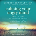 Cover: Calming Your Angry Mind - Tantor Audio