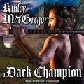 Cover: A Dark Champion Lib/E - Tantor Audio