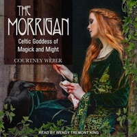 Abbildung von: The Morrigan - Tantor Audio