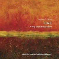 Enlarge image Cover: Fire - Tantor Audio