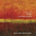 Cover: Fire - Tantor Audio