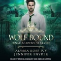 Cover: Wolf Bound - Tantor Audio