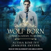 Enlarge image Cover: Wolf Born - Tantor Audio