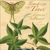 Enlarge image Cover: Teaching the Trees Lib/E - Tantor Audio