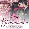 Cover: Just One of the Groomsmen Lib/E - Tantor Audio