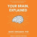 Cover: Your Brain, Explained - Tantor Audio