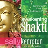 Enlarge image Cover: Awakening Shakti - Tantor Audio