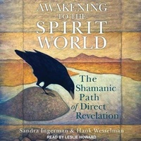 Enlarge image Cover: Awakening to the Spirit World - Tantor Audio