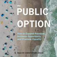 Enlarge image Cover: The Public Option - Tantor Audio
